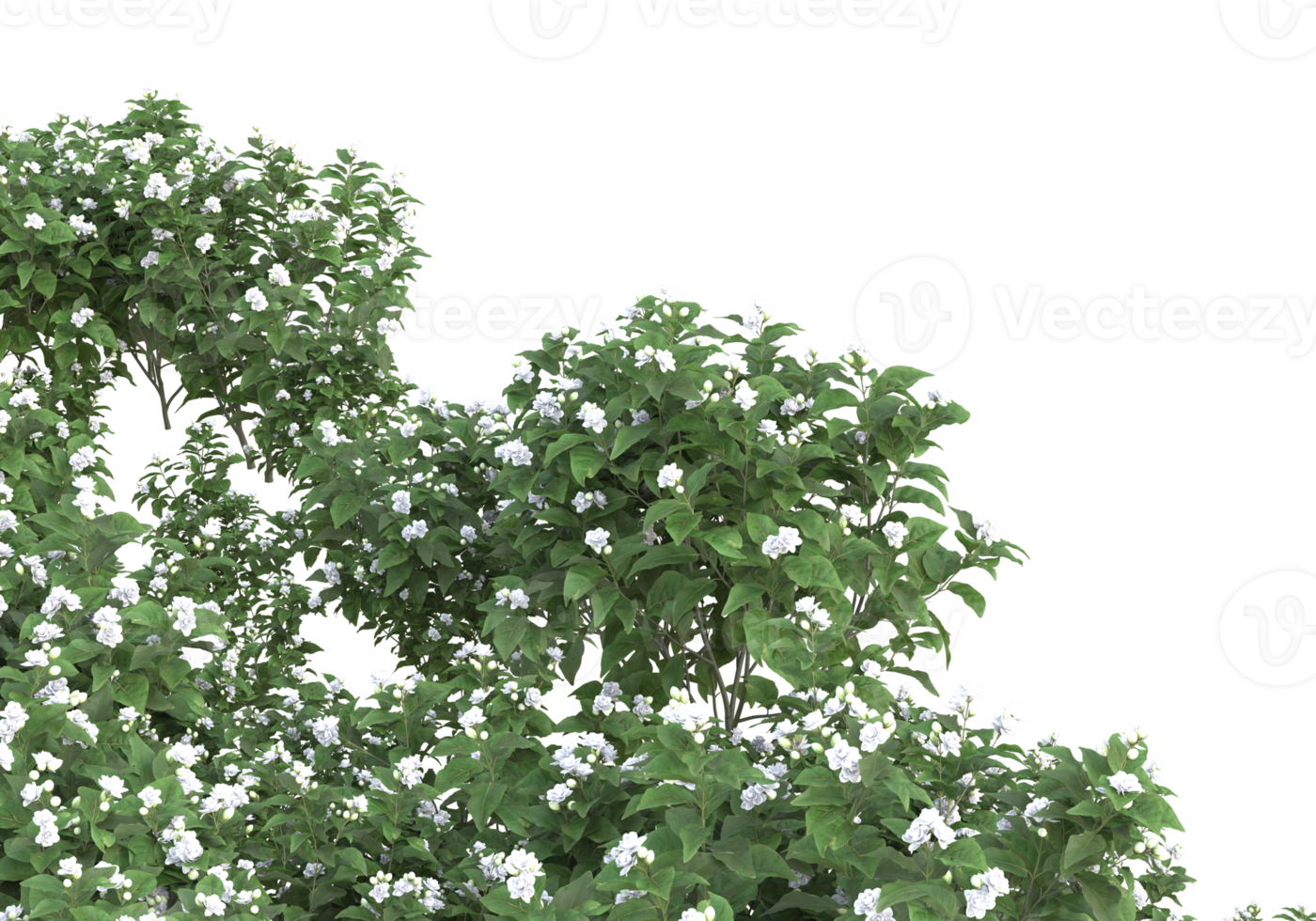 Grass with flowers isolated on transparent background. 3d rendering - illustration png