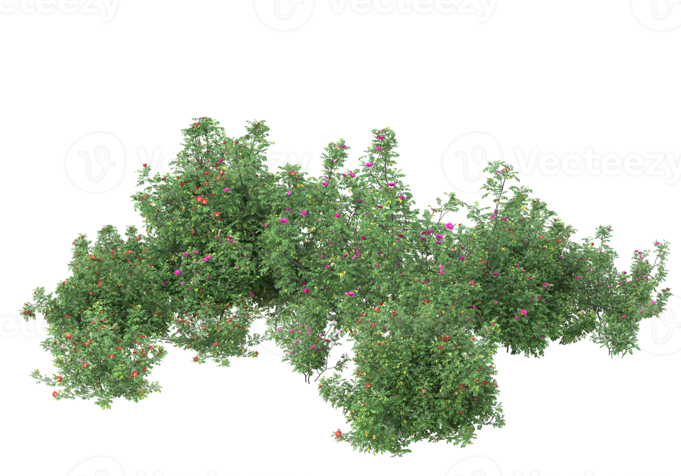 Grass with flowers isolated on transparent background. 3d rendering - illustration png
