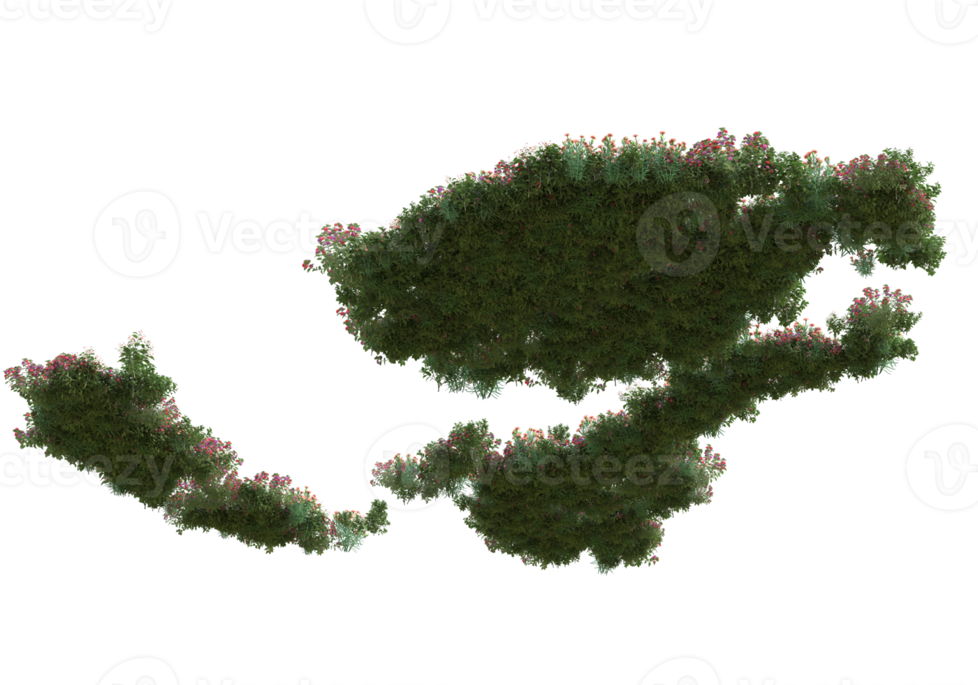 gras met bloemen geïsoleerd Aan transparant achtergrond. 3d renderen - illustratie png