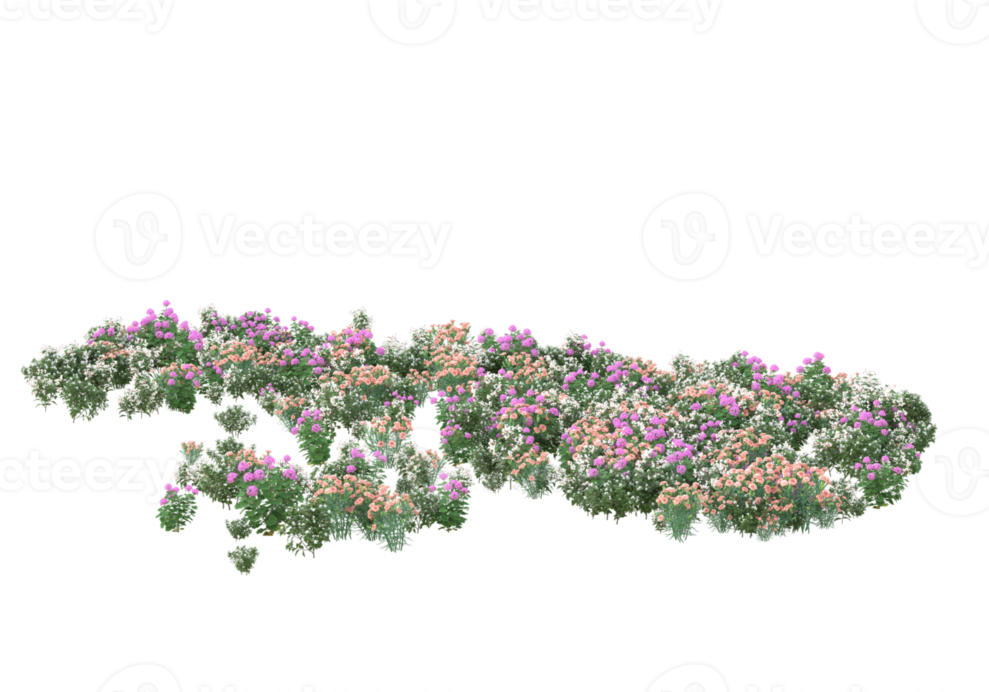 gras met bloemen geïsoleerd Aan transparant achtergrond. 3d renderen - illustratie png