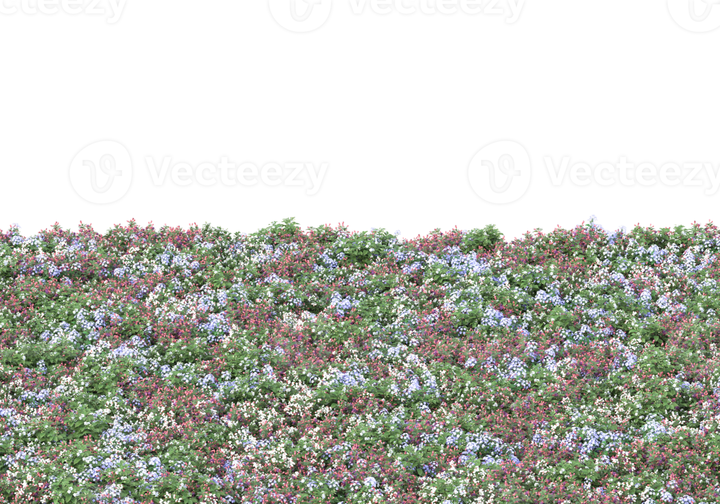 Grass with flowers isolated on transparent background. 3d rendering - illustration png