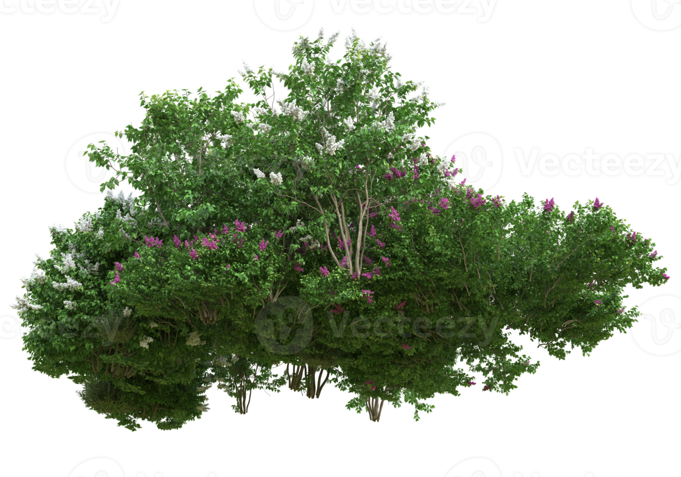 Grass with flowers isolated on transparent background. 3d rendering - illustration png