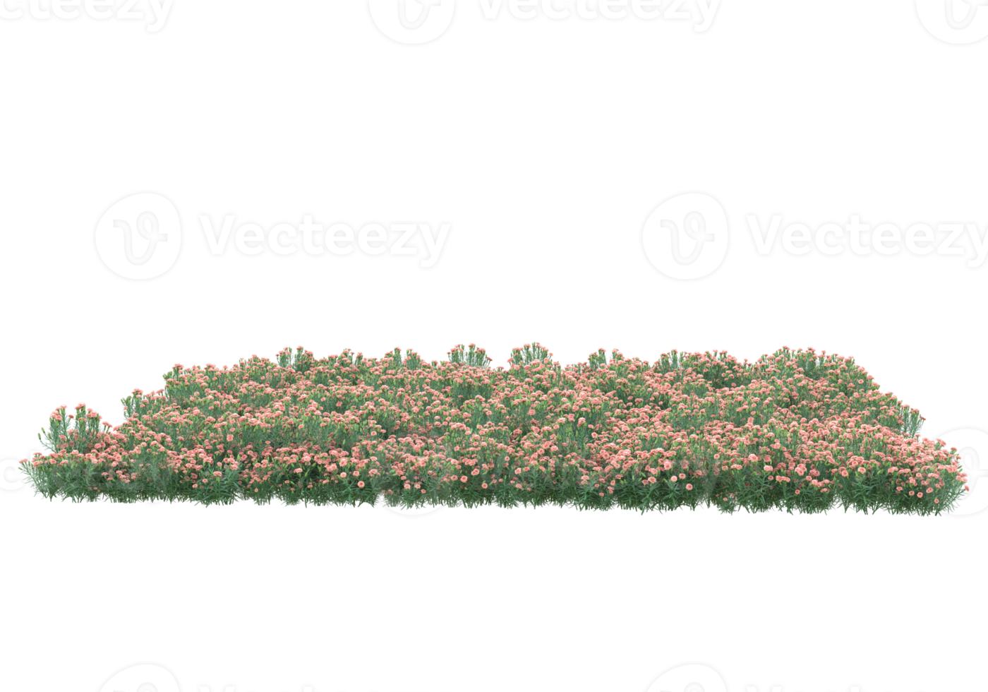 herbe avec des fleurs isolées sur fond transparent. rendu 3d - illustration png