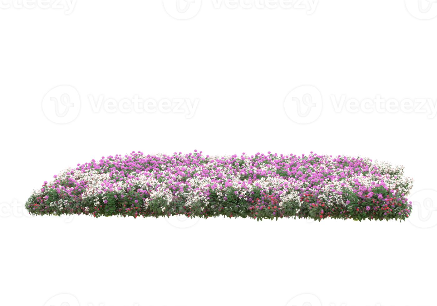 Grass with flowers isolated on transparent background. 3d rendering - illustration png