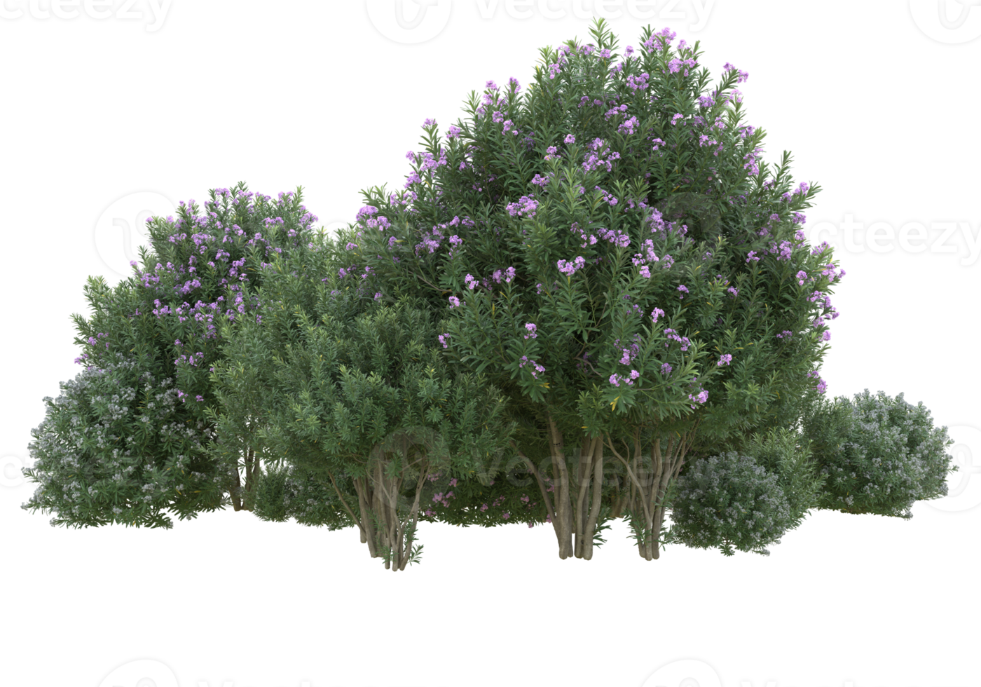 gras met bloemen geïsoleerd Aan transparant achtergrond. 3d renderen - illustratie png