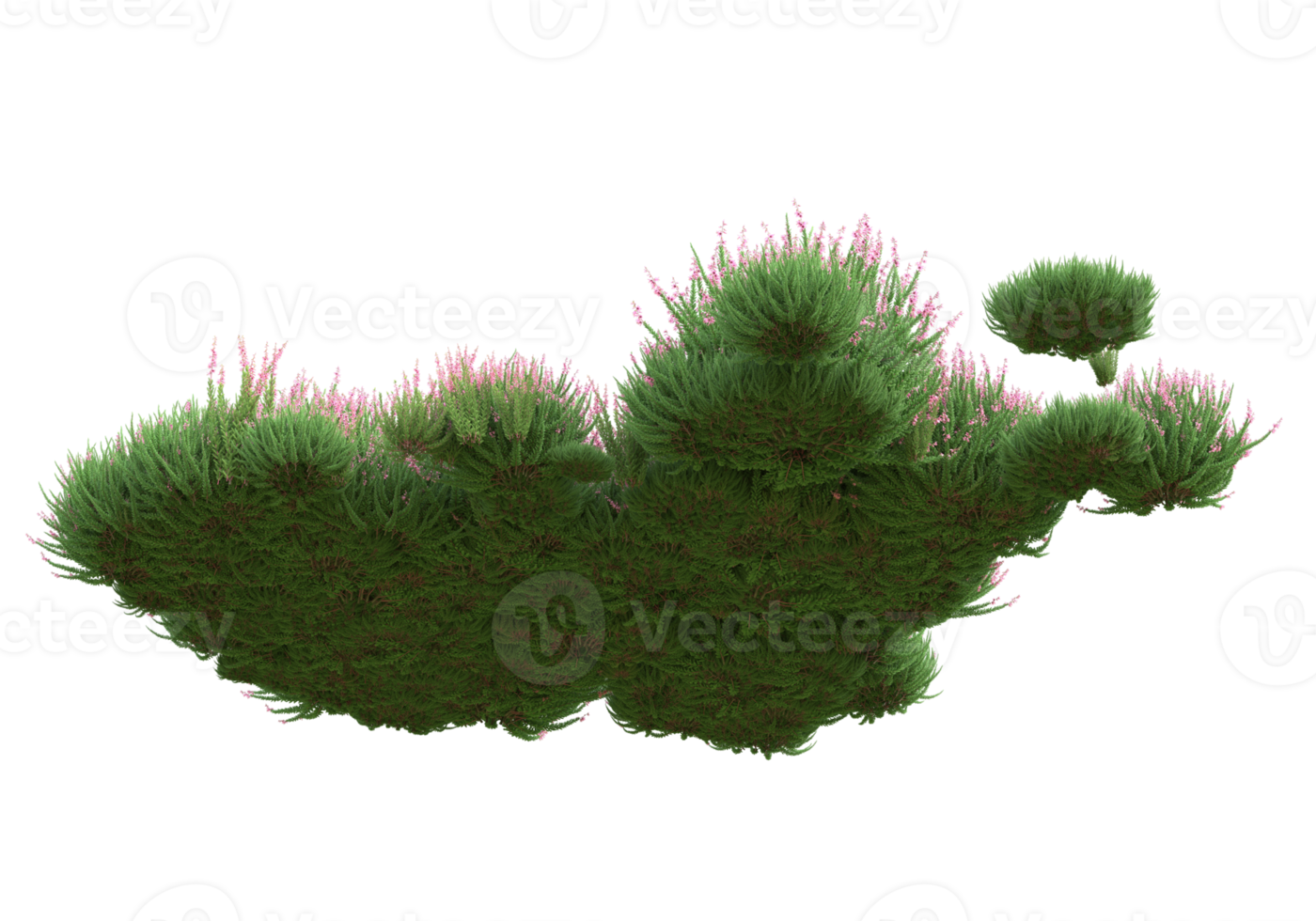 Grass with flowers isolated on transparent background. 3d rendering - illustration png