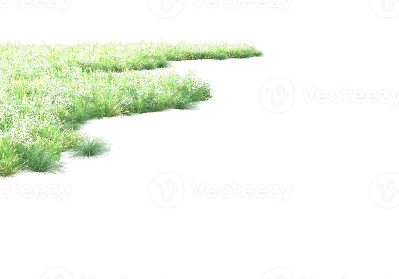 Grass with flowers isolated on transparent background. 3d rendering - illustration png