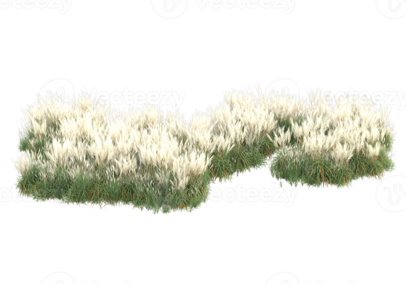 Grass with flowers isolated on transparent background. 3d rendering - illustration png