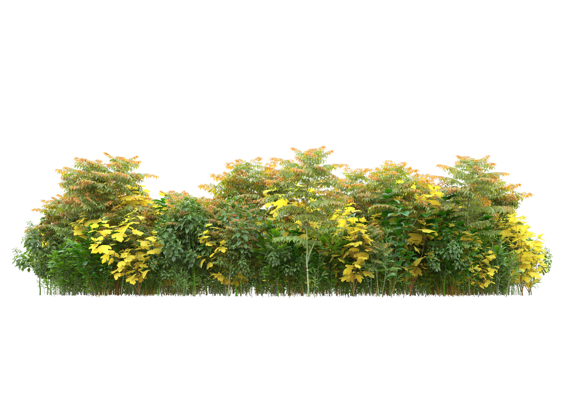 Grass with flowers isolated on transparent background. 3d rendering