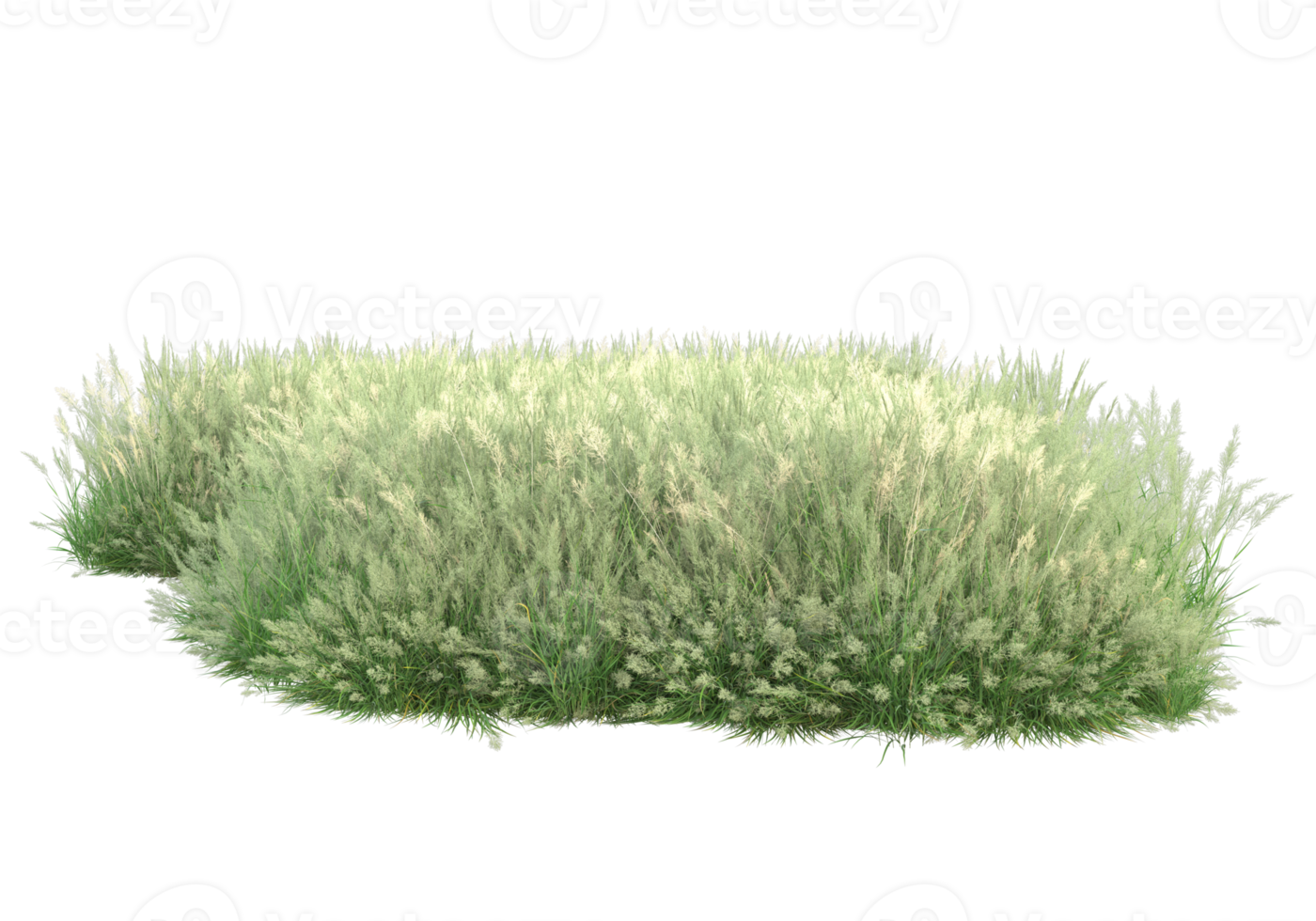 gras met bloemen geïsoleerd Aan transparant achtergrond. 3d renderen - illustratie png