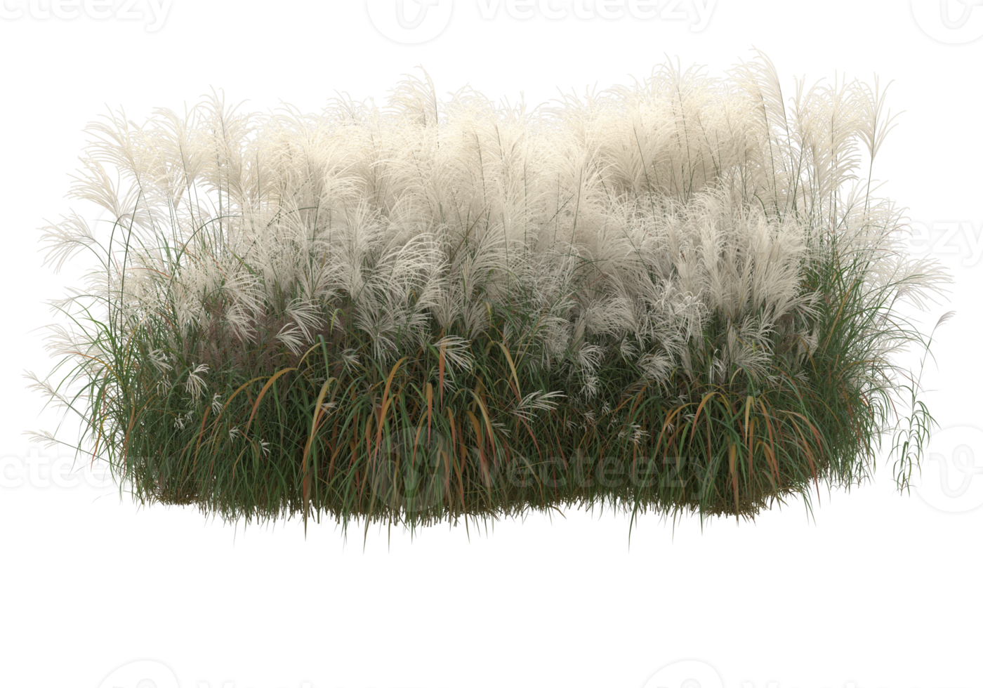 Grass with flowers isolated on transparent background. 3d rendering - illustration png