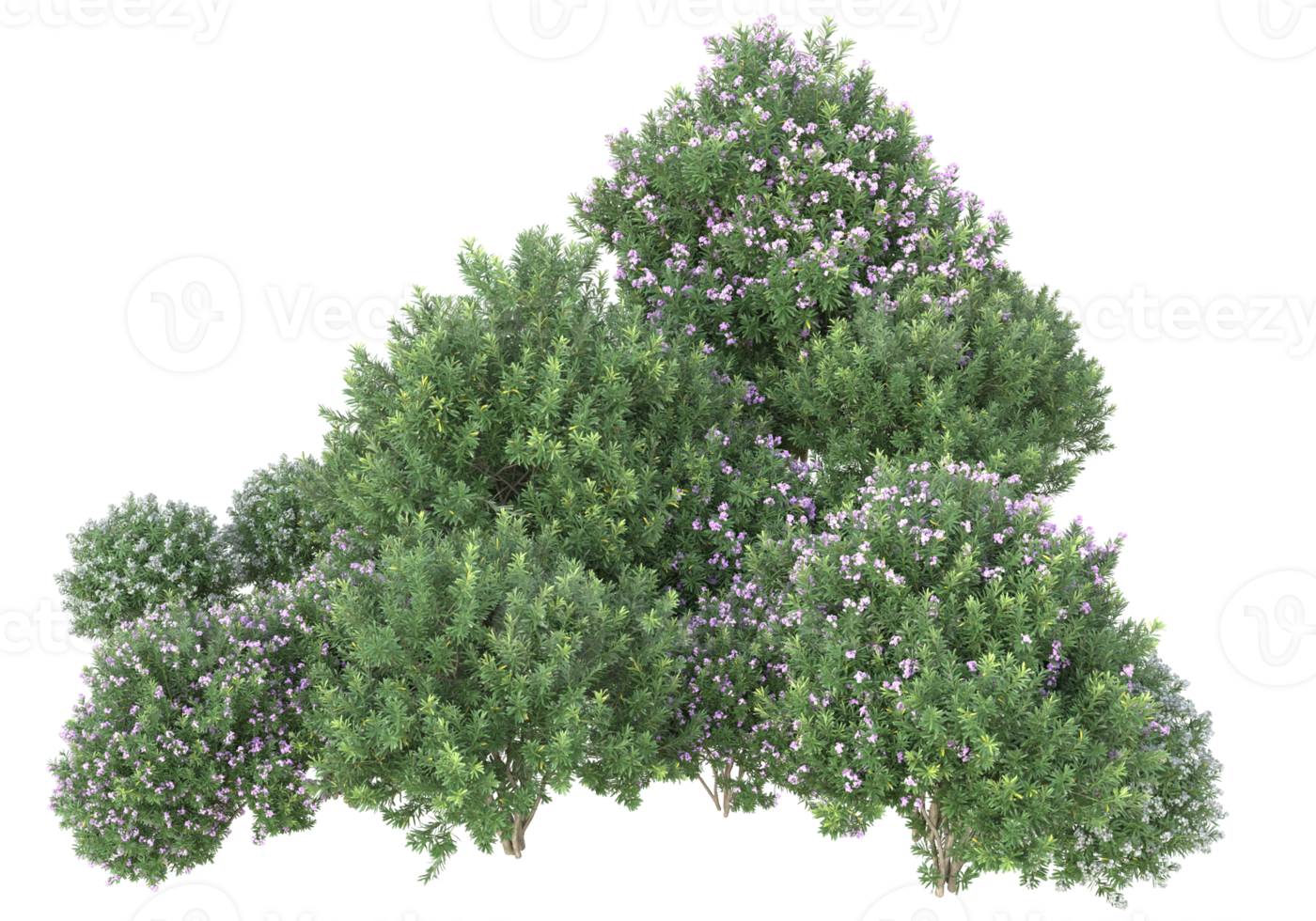 Grass with flowers isolated on transparent background. 3d rendering - illustration png