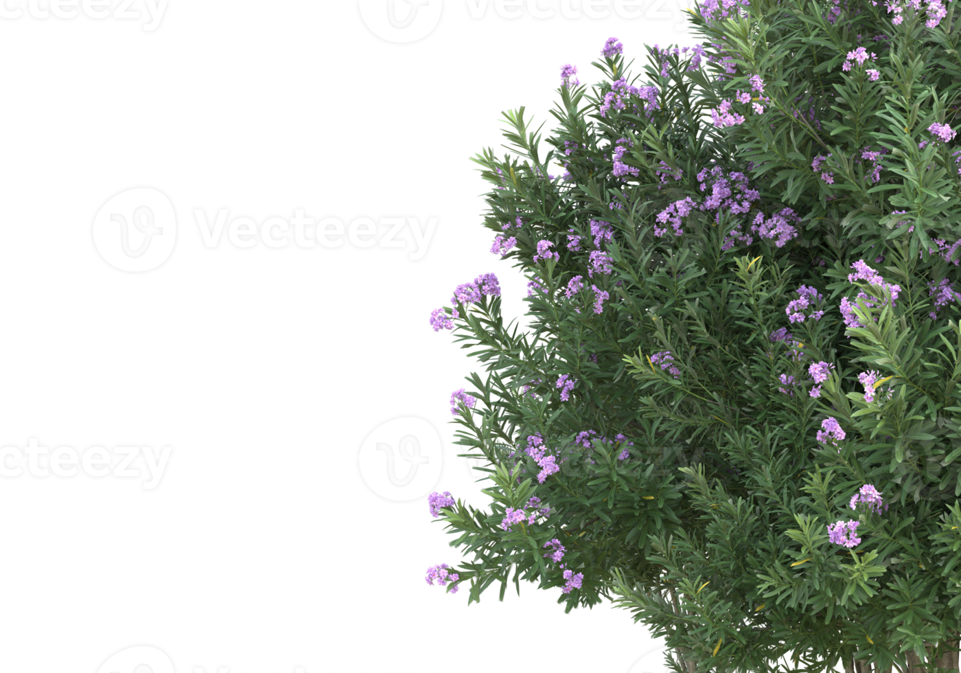 Grass with flowers isolated on transparent background. 3d rendering - illustration png