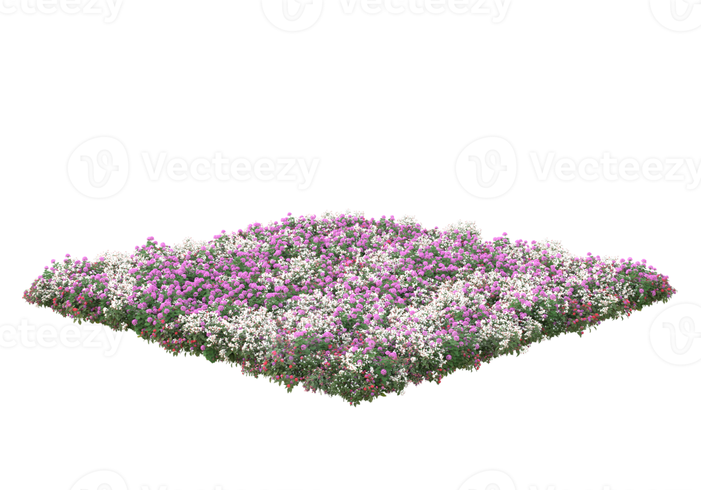 Grass with flowers isolated on transparent background. 3d rendering - illustration png