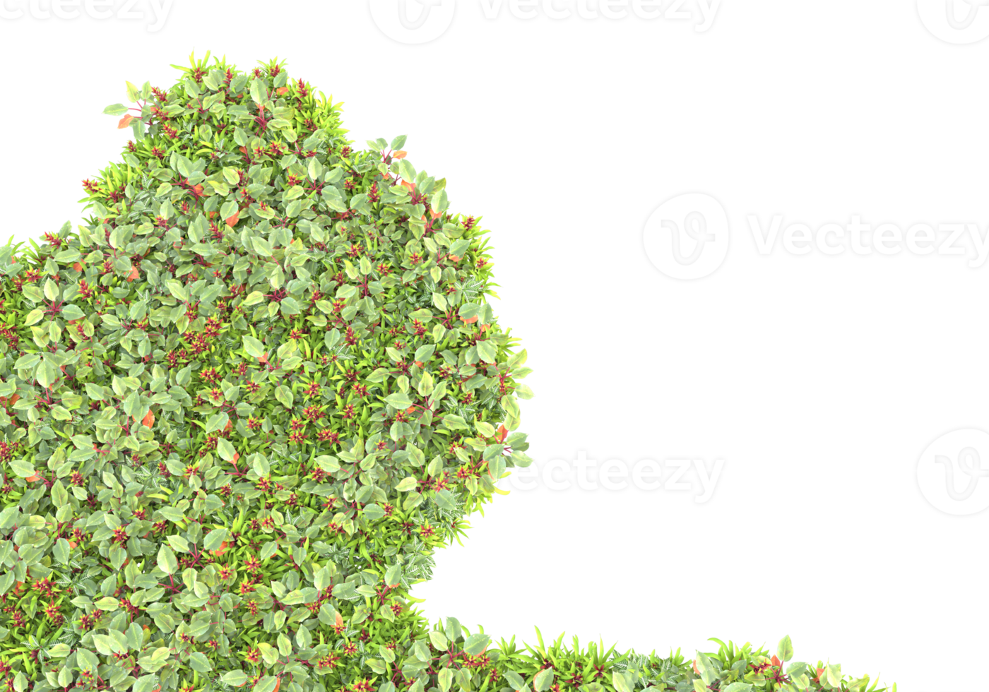 Grass with flowers isolated on transparent background. 3d rendering - illustration png