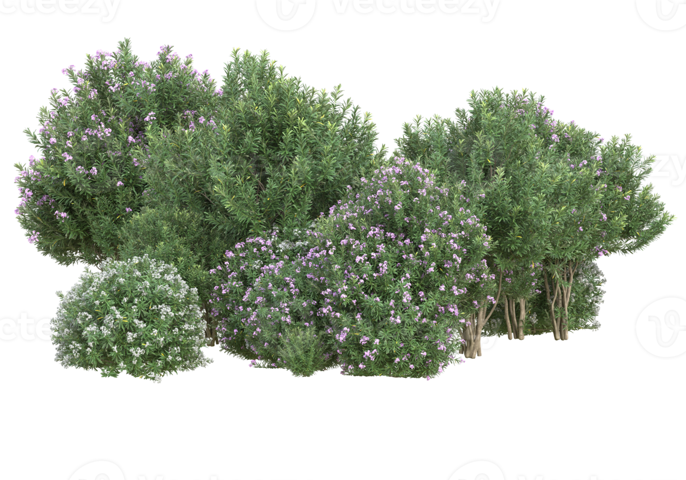 herbe avec des fleurs isolées sur fond transparent. rendu 3d - illustration png