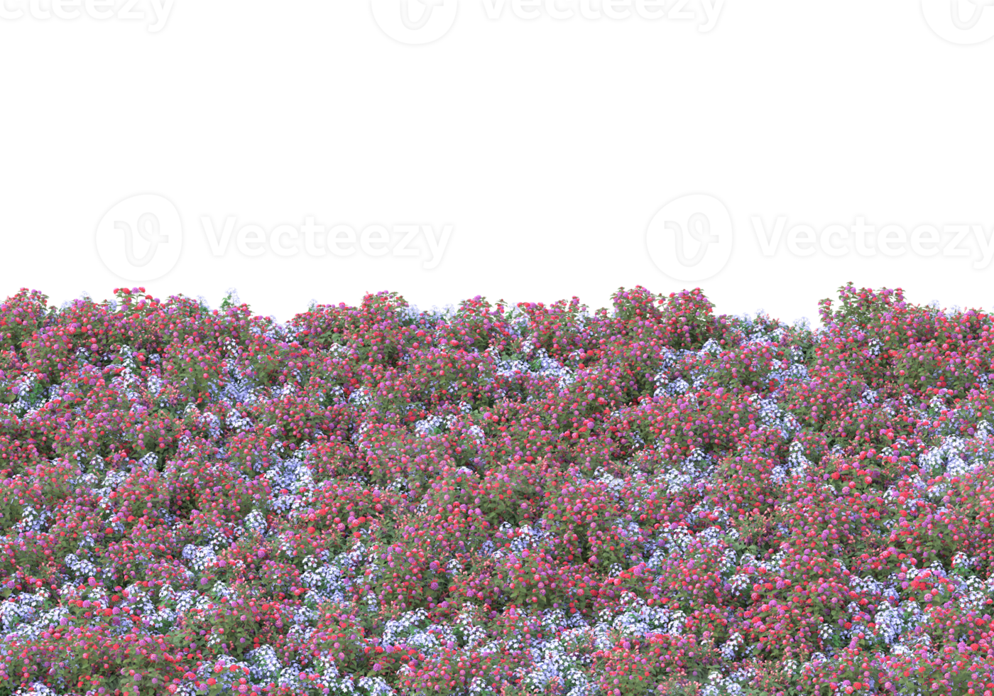 Grass with flowers isolated on transparent background. 3d rendering - illustration png