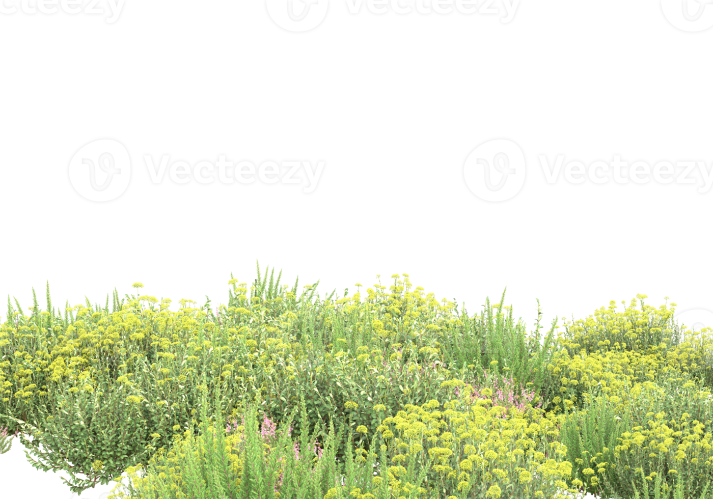 Grass with flowers isolated on transparent background. 3d rendering - illustration png
