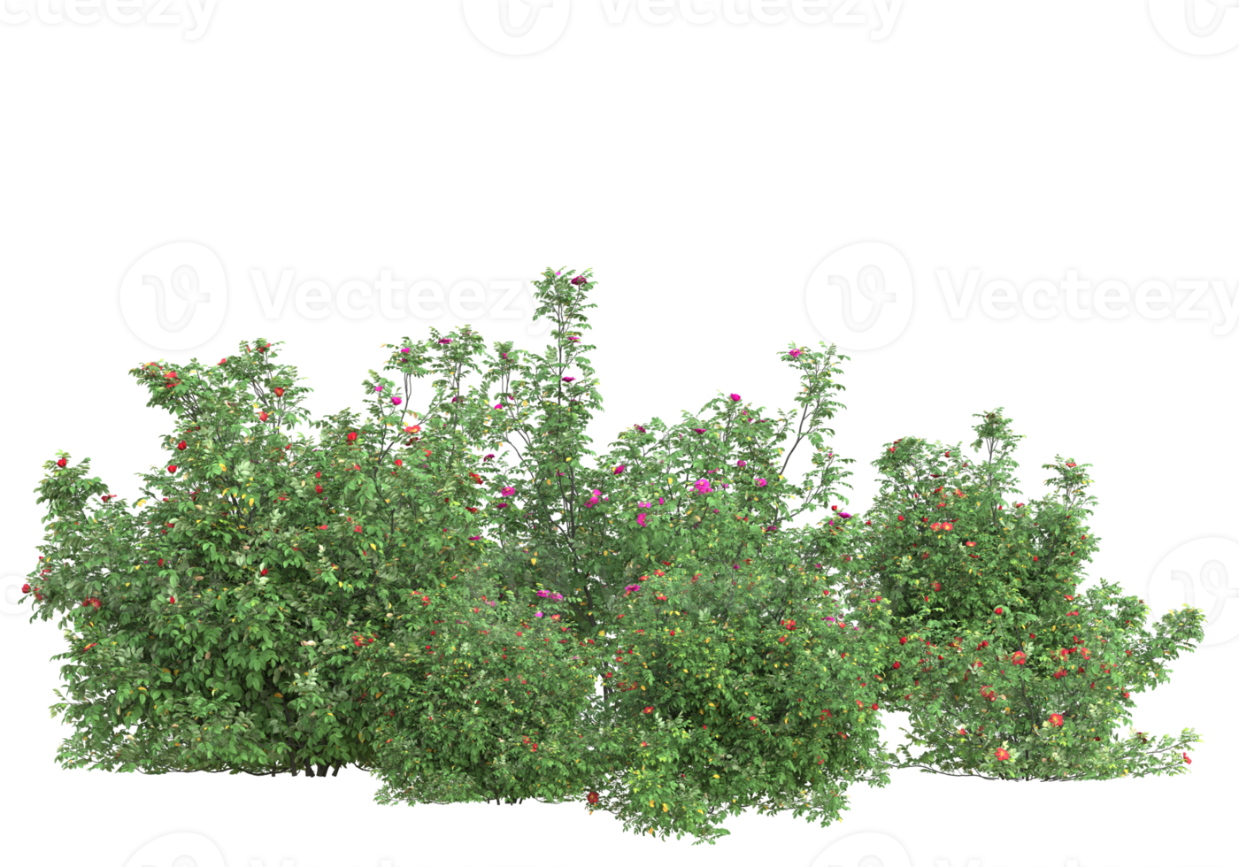 herbe avec des fleurs isolées sur fond transparent. rendu 3d - illustration png