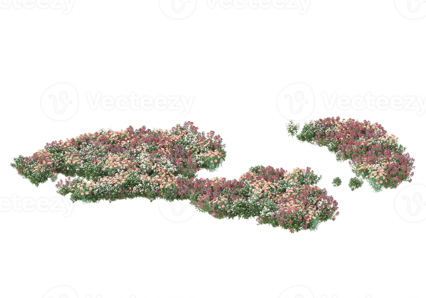 Grass with flowers isolated on transparent background. 3d rendering - illustration png