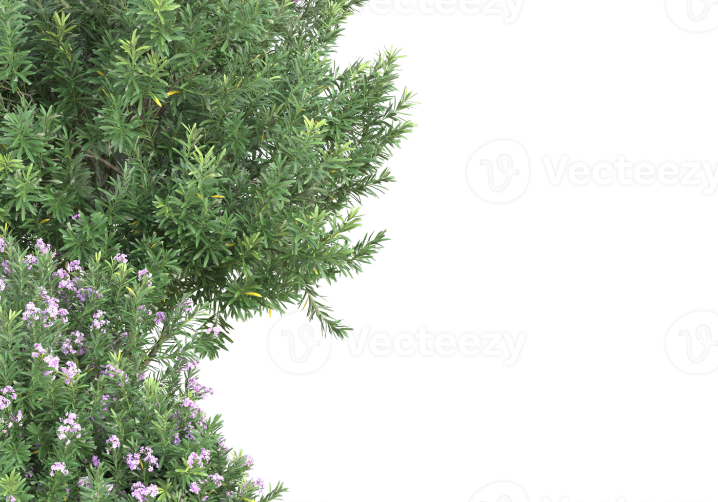 Grass with flowers isolated on transparent background. 3d rendering - illustration png