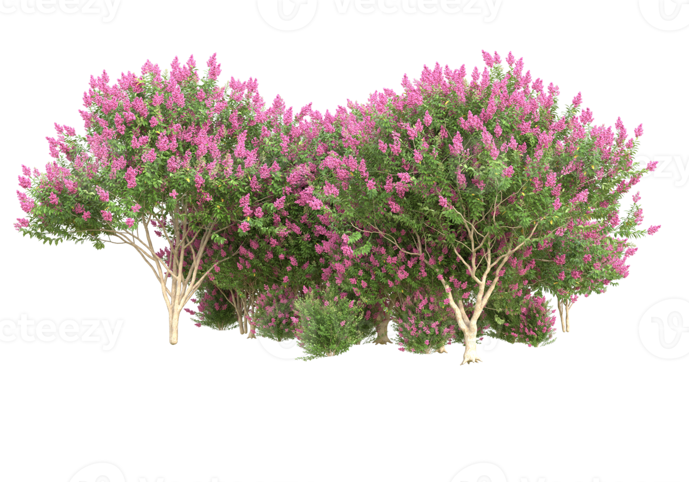 Grass with flowers isolated on transparent background. 3d rendering - illustration png