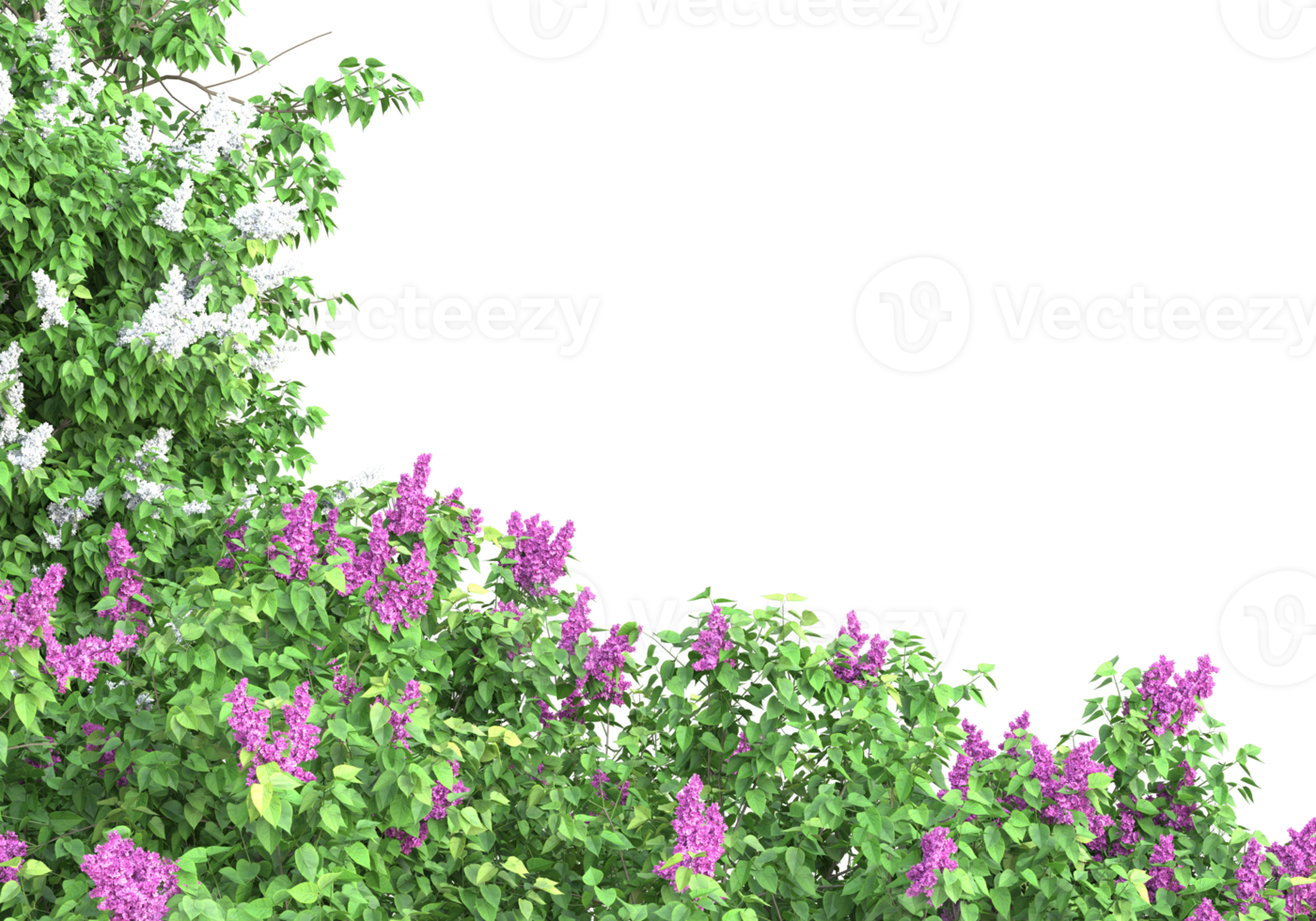 Grass with flowers isolated on transparent background. 3d rendering - illustration png