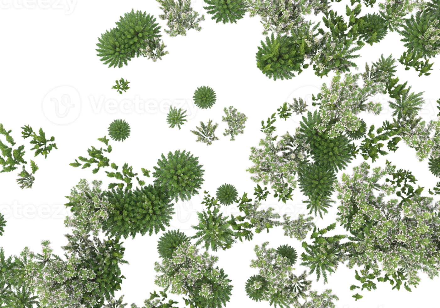 Grass with flowers isolated on transparent background. 3d rendering - illustration png