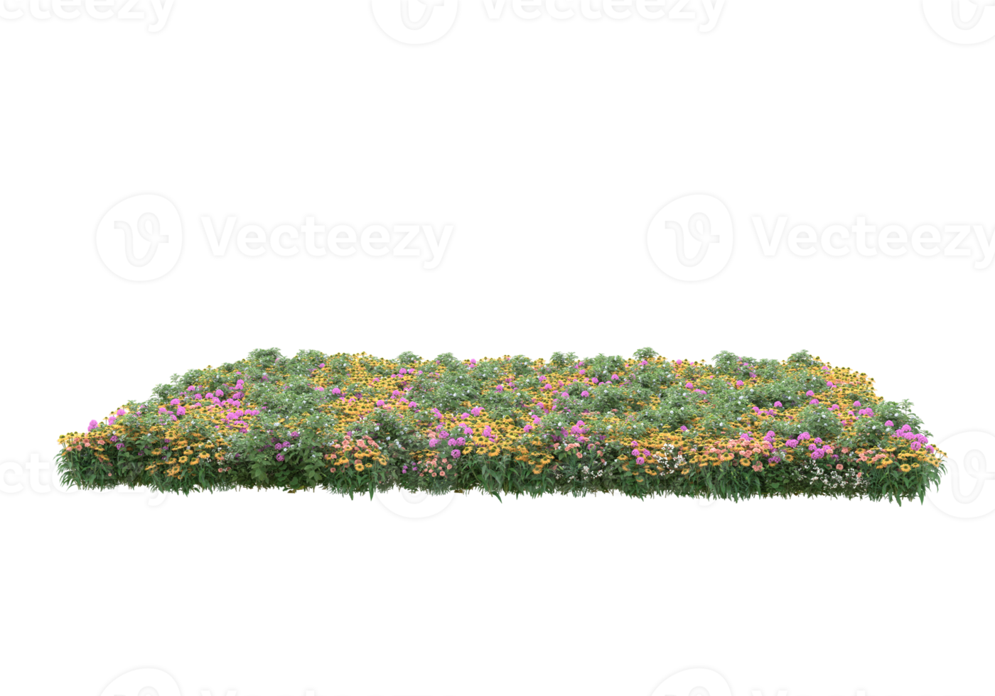 Grass with flowers isolated on transparent background. 3d rendering - illustration png