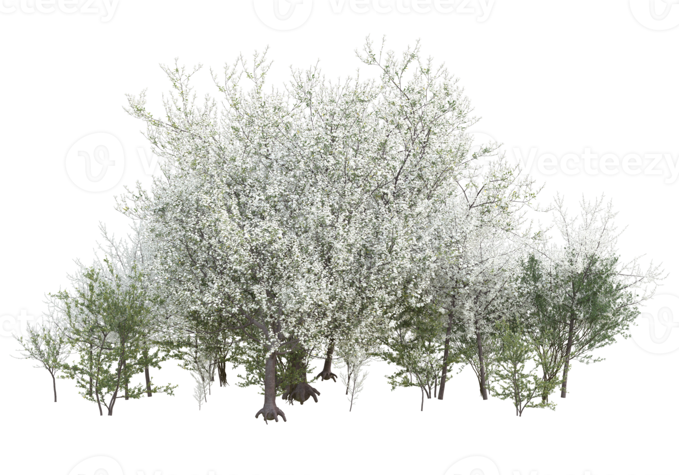 Grass with flowers isolated on transparent background. 3d rendering - illustration png