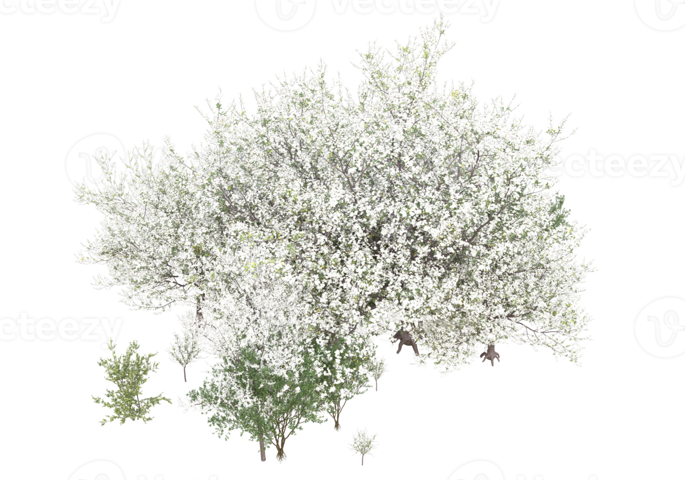 Grass with flowers isolated on transparent background. 3d rendering - illustration png