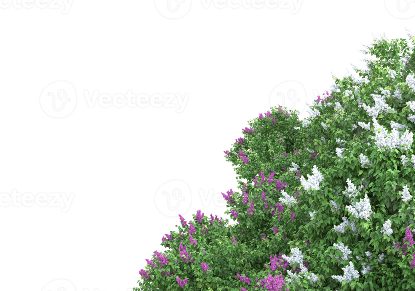 gras met bloemen geïsoleerd Aan transparant achtergrond. 3d renderen - illustratie png