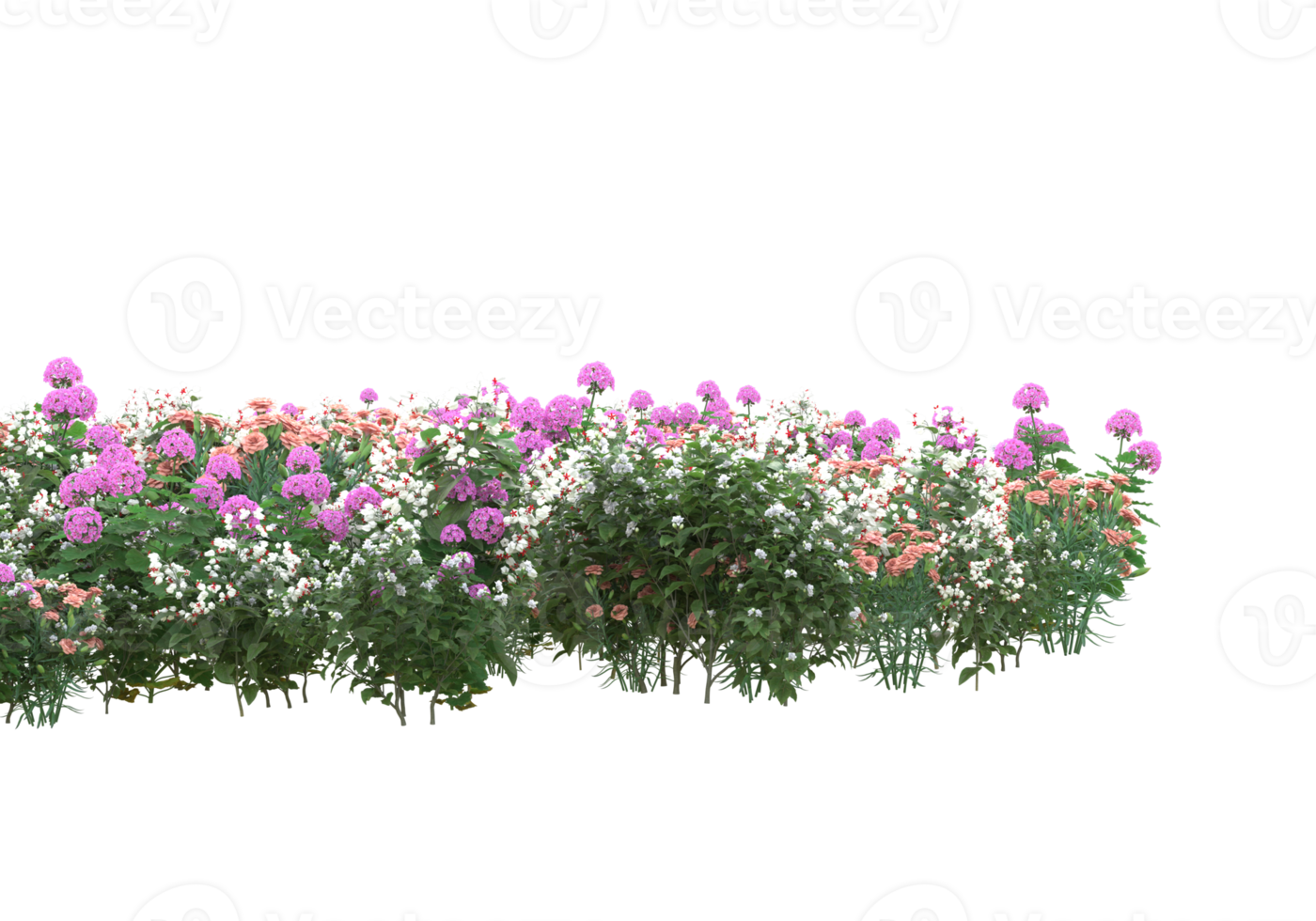 gras met bloemen geïsoleerd Aan transparant achtergrond. 3d renderen - illustratie png