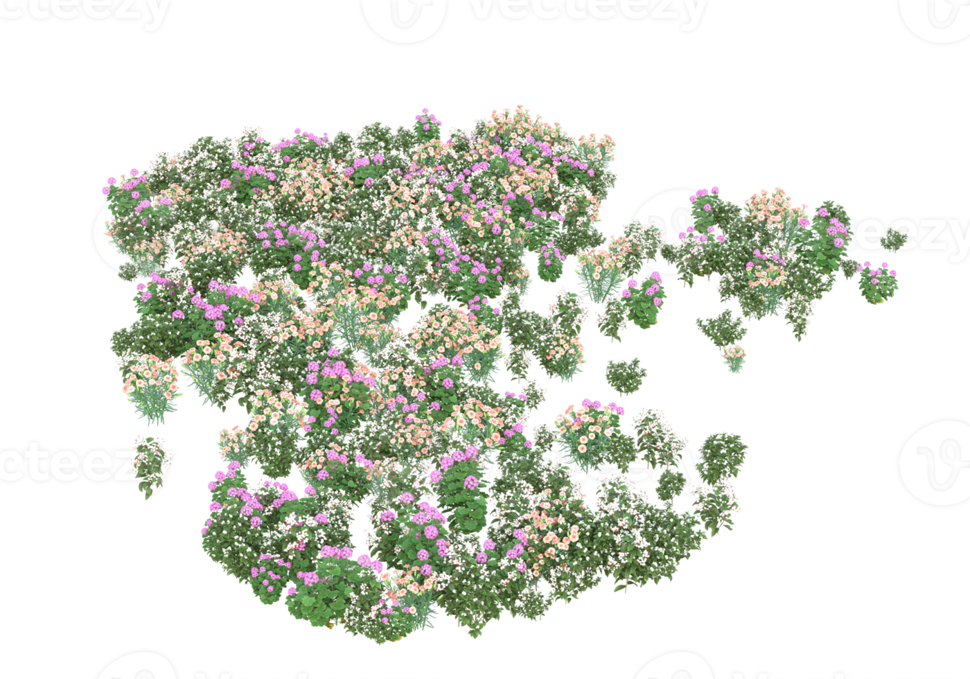 Grass with flowers isolated on transparent background. 3d rendering - illustration png