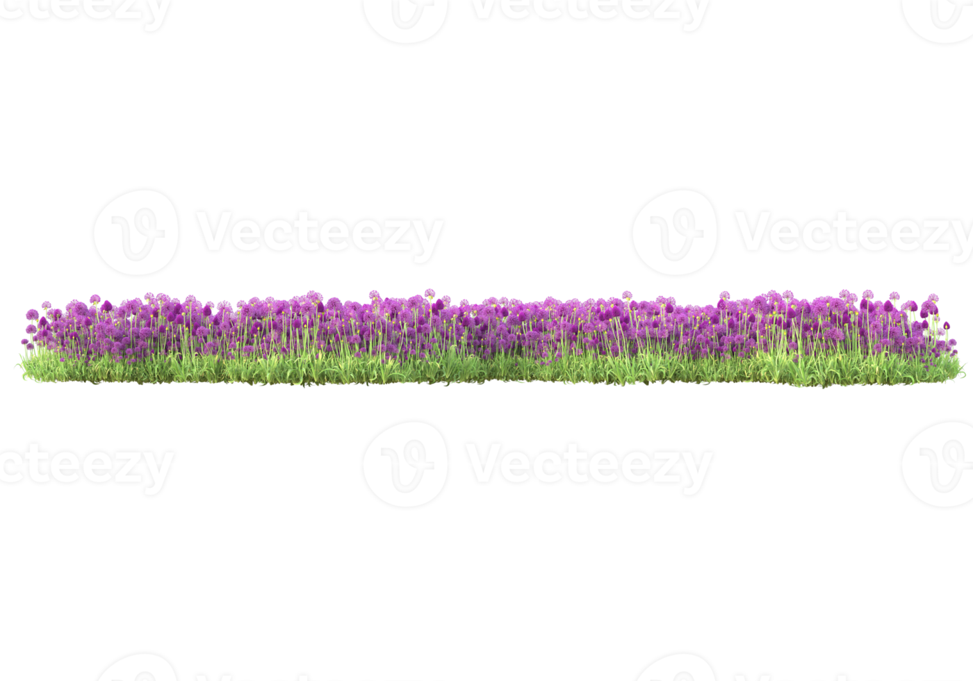 gras met bloemen geïsoleerd Aan transparant achtergrond. 3d renderen - illustratie png