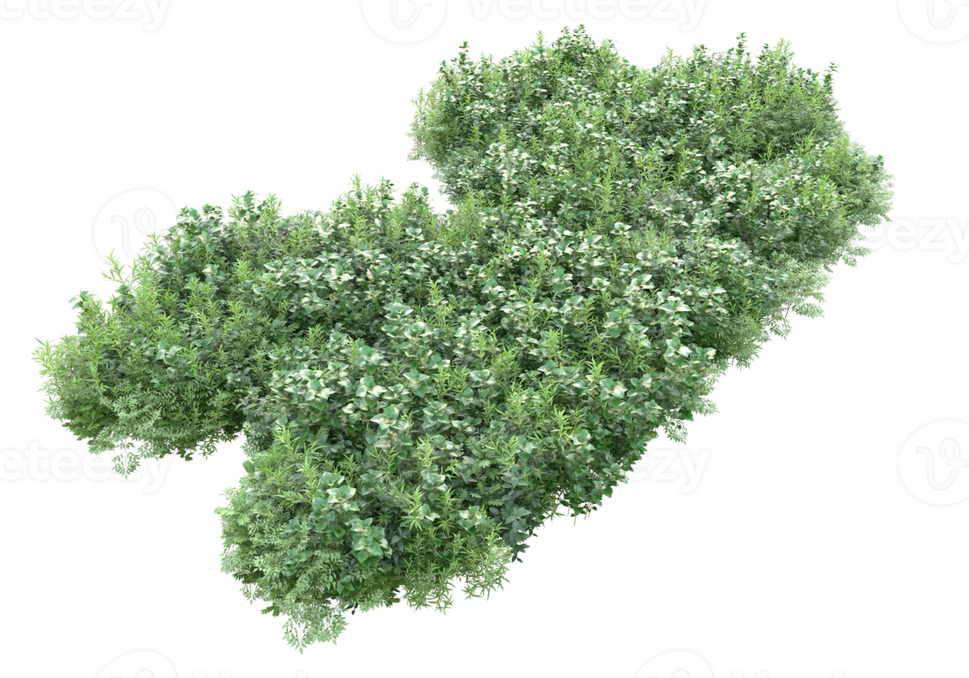 Grass with flowers isolated on transparent background. 3d rendering - illustration png