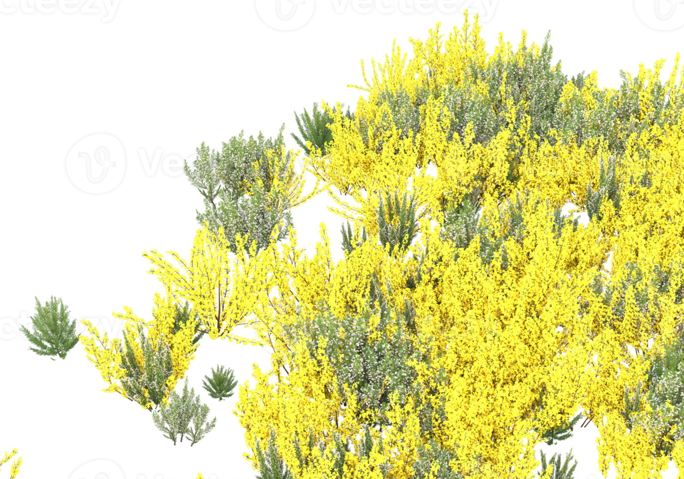 Grass with flowers isolated on transparent background. 3d rendering - illustration png