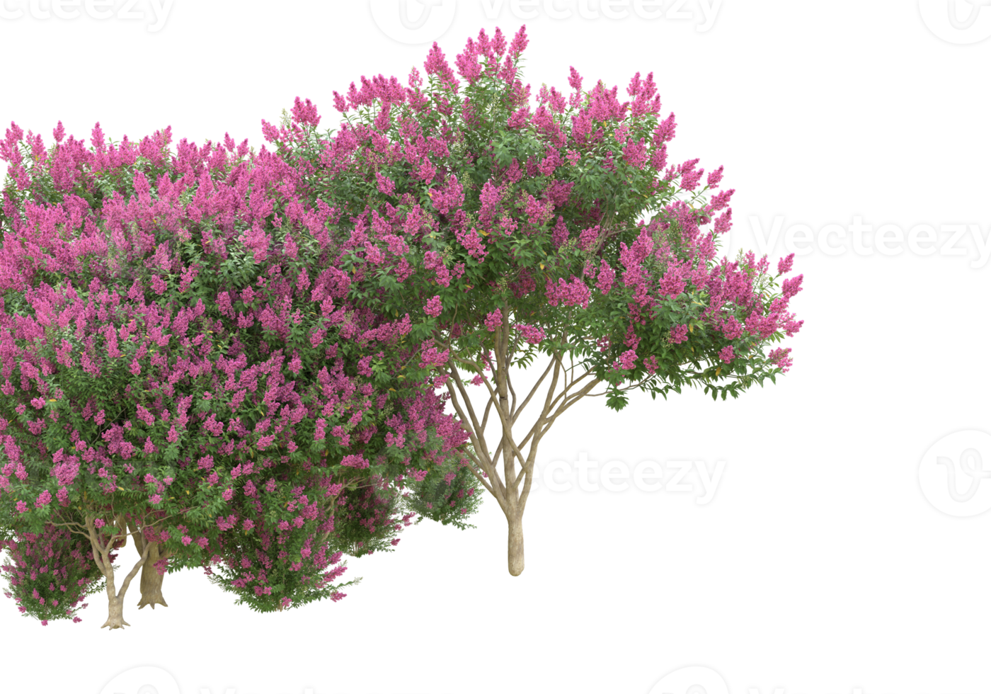 Grass with flowers isolated on transparent background. 3d rendering - illustration png