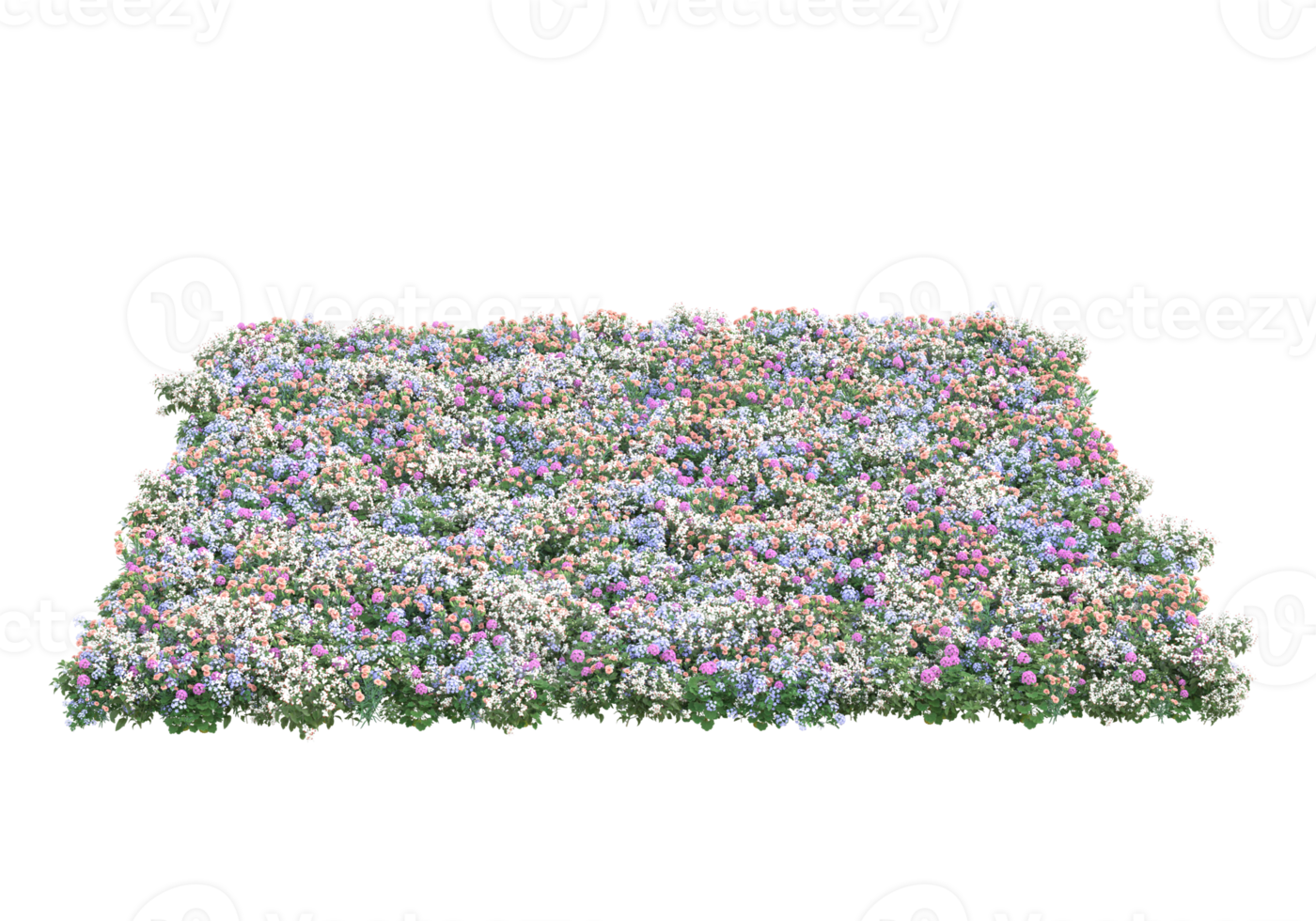 gras met bloemen geïsoleerd Aan transparant achtergrond. 3d renderen - illustratie png