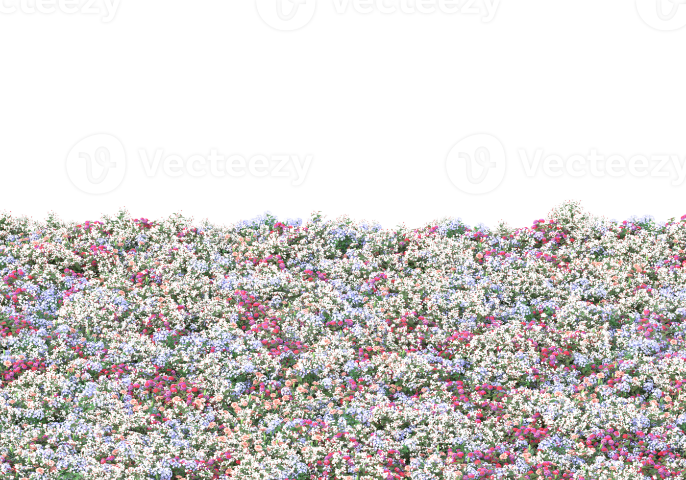 Grass with flowers isolated on transparent background. 3d rendering - illustration png
