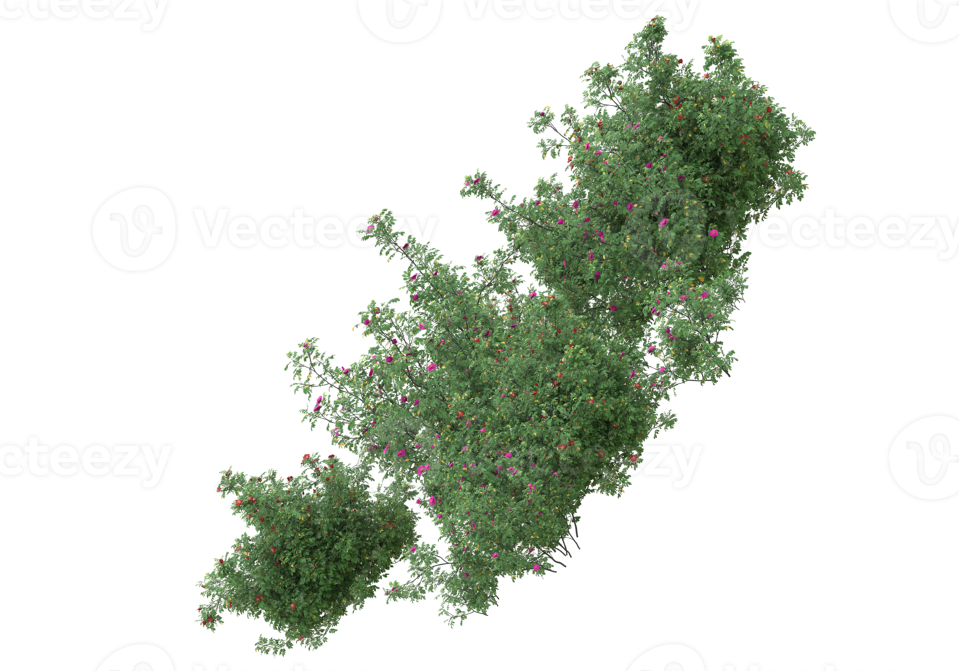 Grass with flowers isolated on transparent background. 3d rendering - illustration png