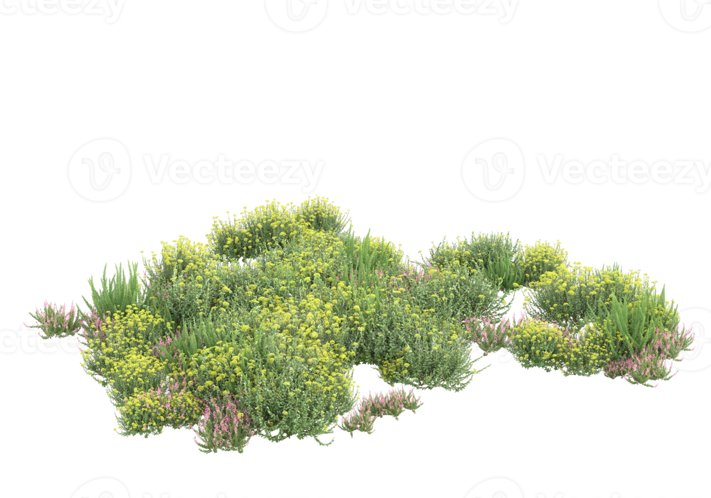 Grass with flowers isolated on transparent background. 3d rendering - illustration png