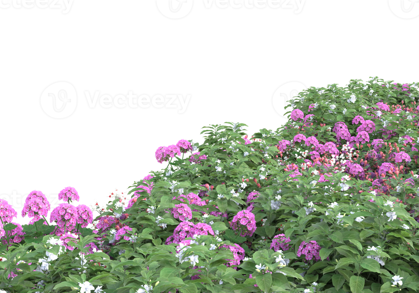 Grass with flowers isolated on transparent background. 3d rendering - illustration png