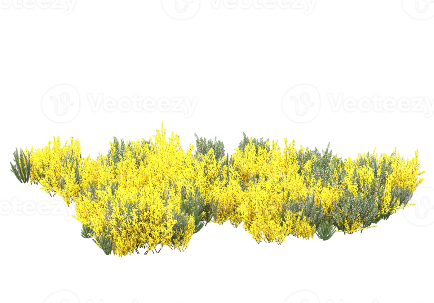 gräs med blommor isolerat på transparent bakgrund. 3d tolkning - illustration png