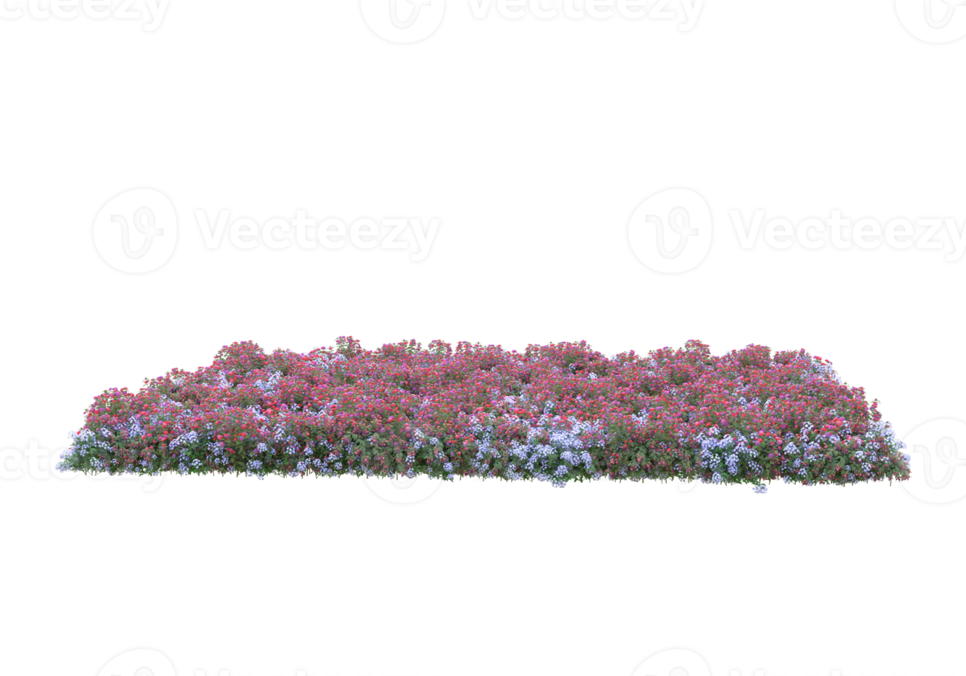 Grass with flowers isolated on transparent background. 3d rendering - illustration png