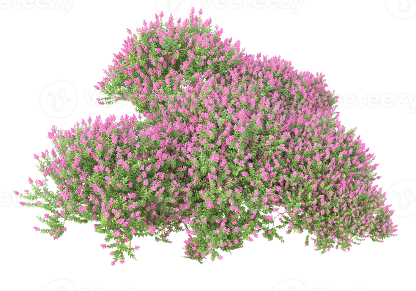 Grass with flowers isolated on transparent background. 3d rendering - illustration png