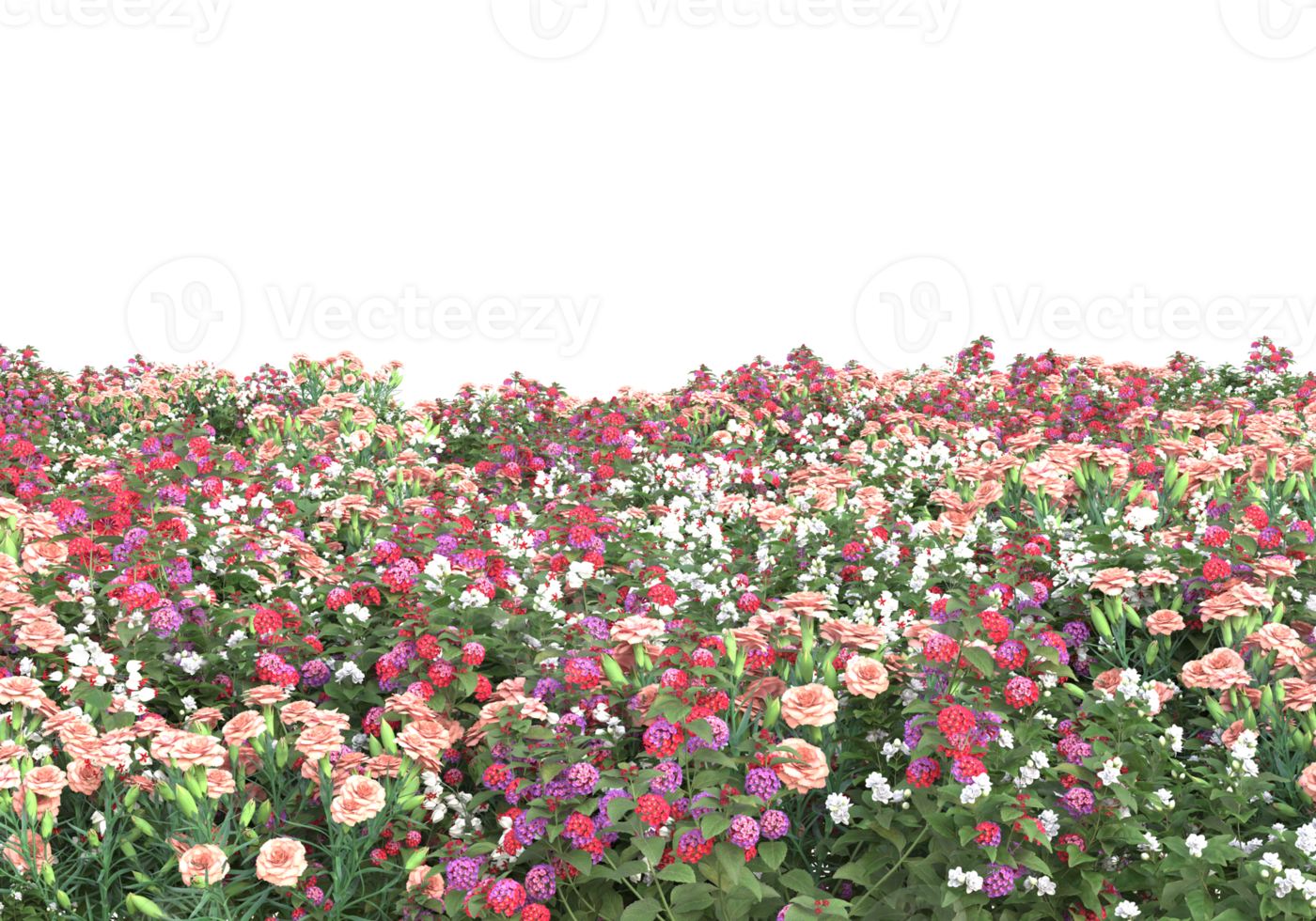 Grass with flowers isolated on transparent background. 3d rendering - illustration png