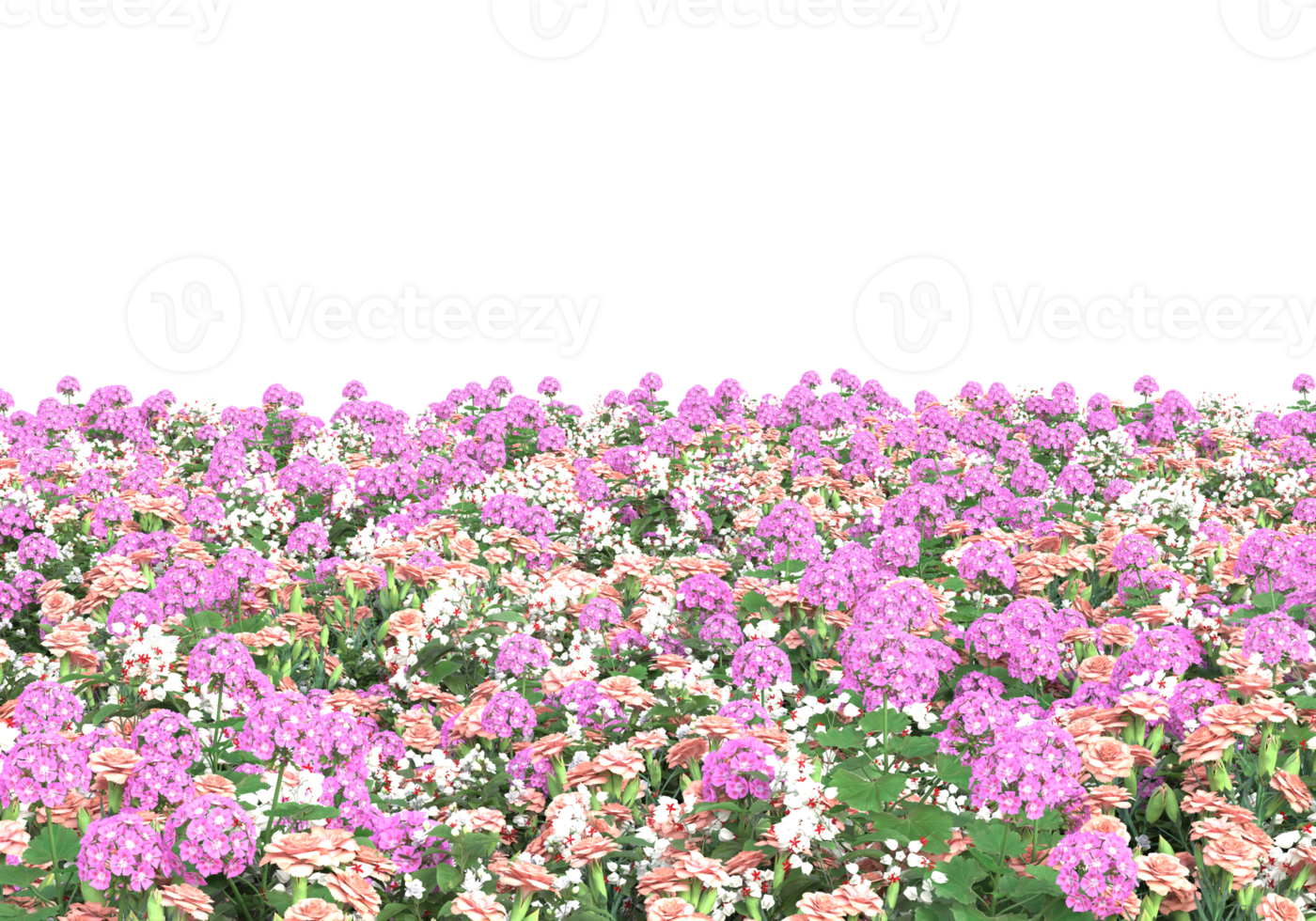 Grass with flowers isolated on transparent background. 3d rendering - illustration png