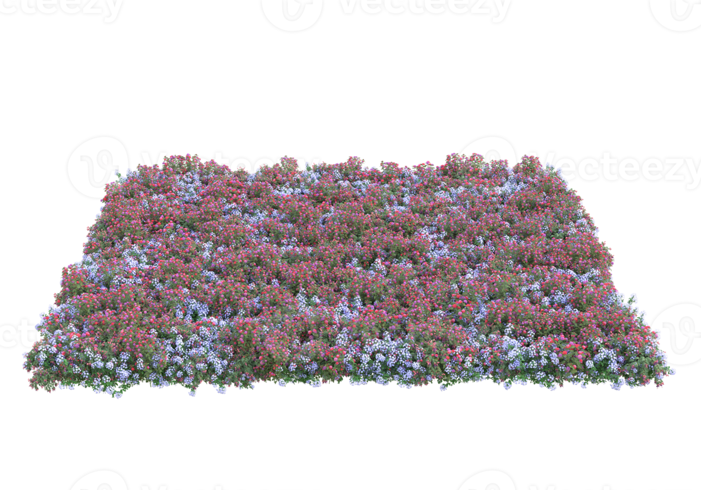 Grass with flowers isolated on transparent background. 3d rendering - illustration png