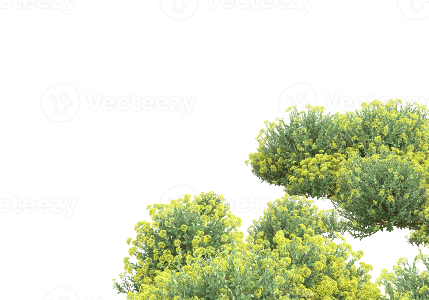 Grass with flowers isolated on transparent background. 3d rendering - illustration png
